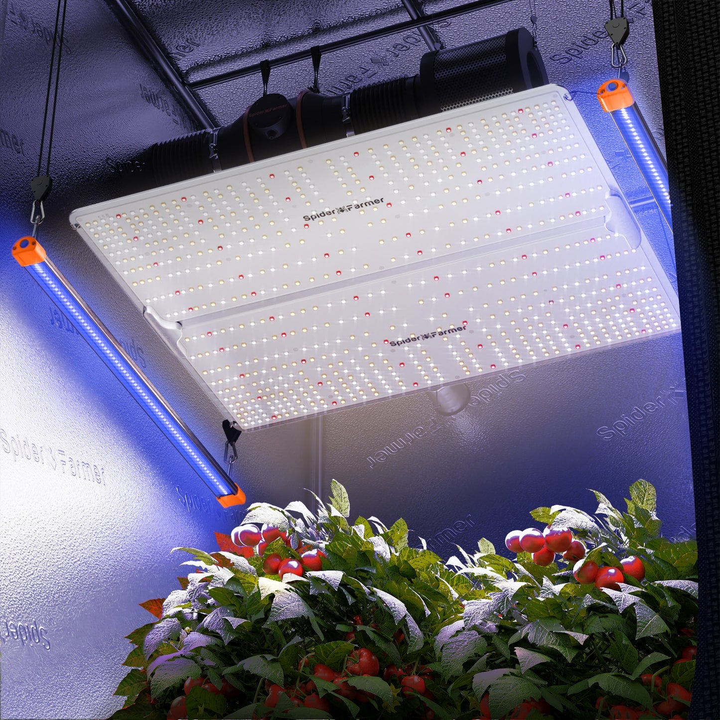 2024 Spider Farmer® Zusatz-UV-365-nm-LED-Lichtleisten-Set für Pflanzen (60 cm)