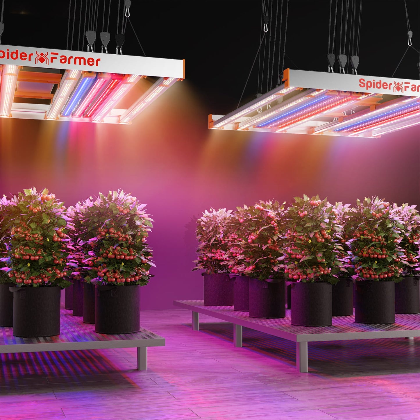 2024 Spider Farmer® Zusatz-UV-365-nm-LED-Lichtleisten-Set für Pflanzen (60 cm)
