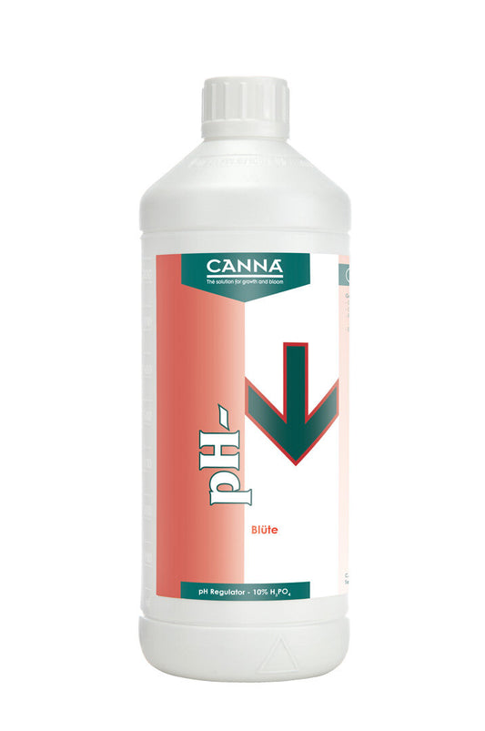 Canna pH- Blüte 10% 1 L