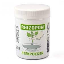 Chryzotop (Rhizopon) grün 0,25% 80 g